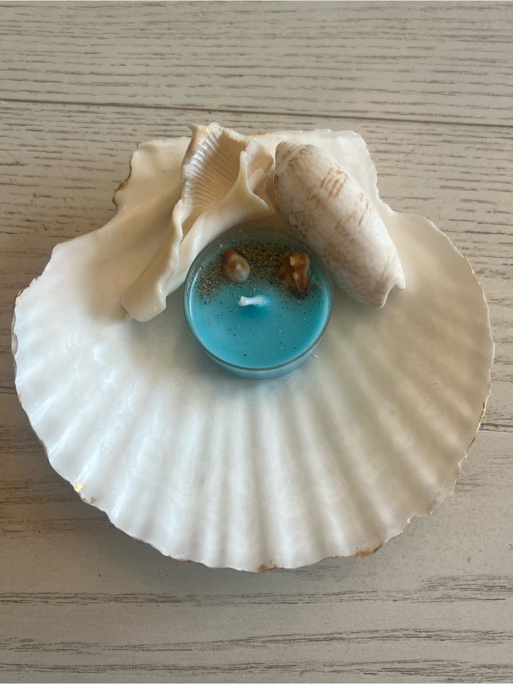 Gold Handpainted Scallop Shell Tea Light Holder with Beachy Votive and Shells